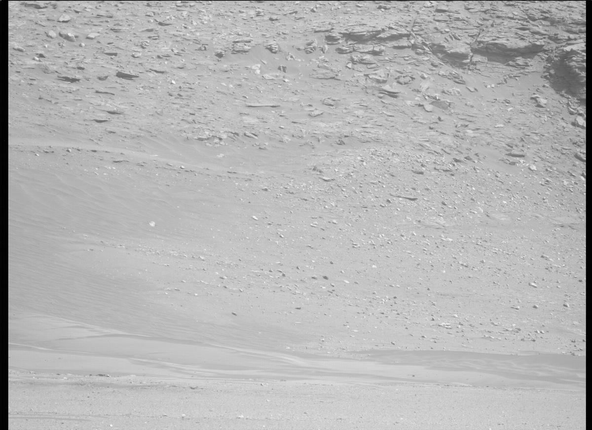 This image was taken by MCZ_LEFT onboard NASA's Mars rover Perseverance on Sol 411