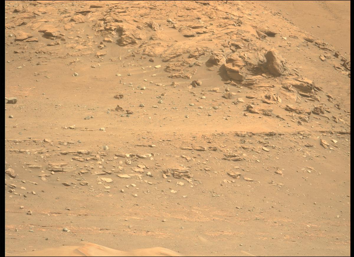 This image was taken by MCZ_LEFT onboard NASA's Mars rover Perseverance on Sol 411