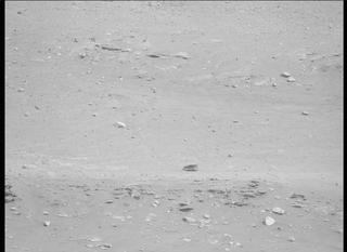 View image taken on Mars, Mars Perseverance Sol 411: Left Mastcam-Z Camera