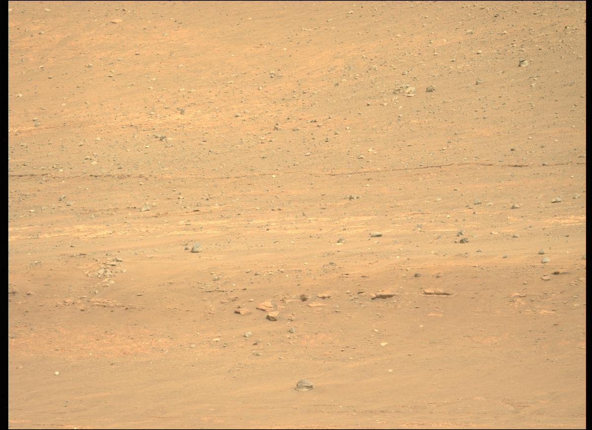 This image was taken by MCZ_LEFT onboard NASA's Mars rover Perseverance on Sol 411