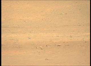 View image taken on Mars, Mars Perseverance Sol 411: Left Mastcam-Z Camera