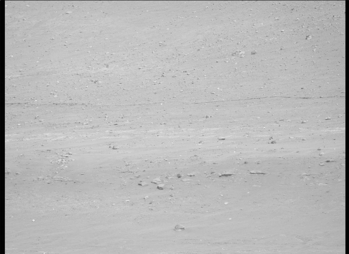 This image was taken by MCZ_LEFT onboard NASA's Mars rover Perseverance on Sol 411