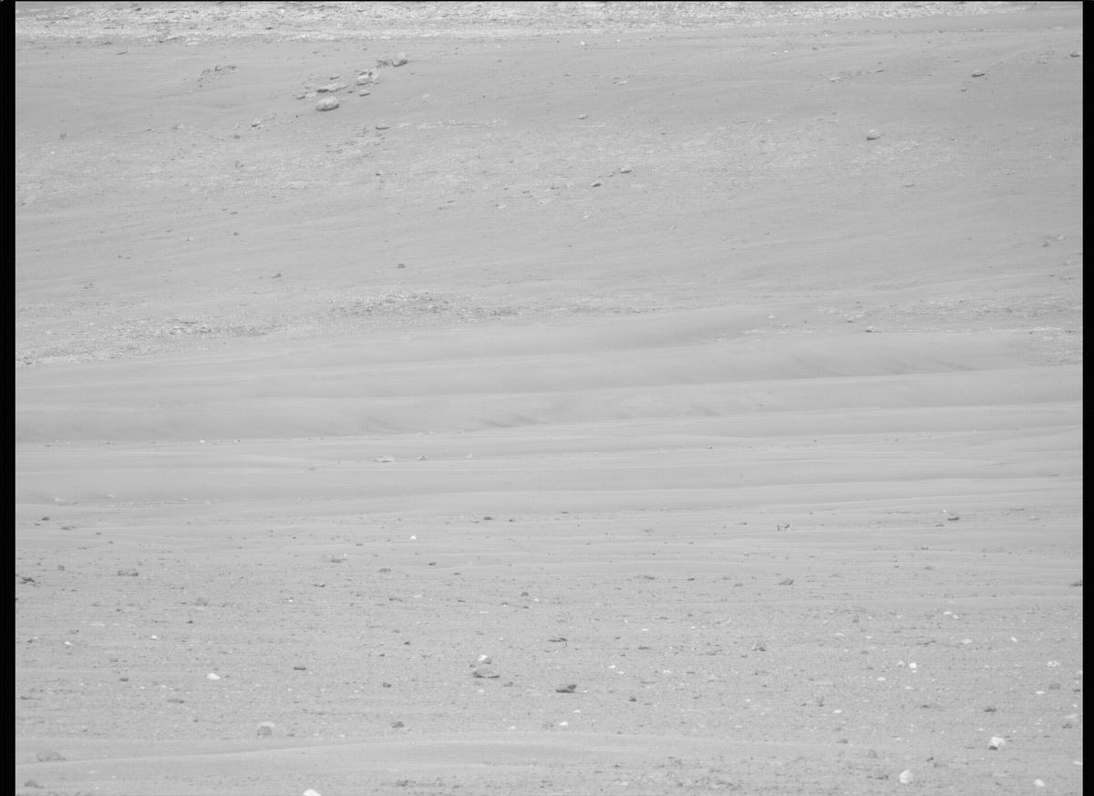 This image was taken by MCZ_LEFT onboard NASA's Mars rover Perseverance on Sol 411