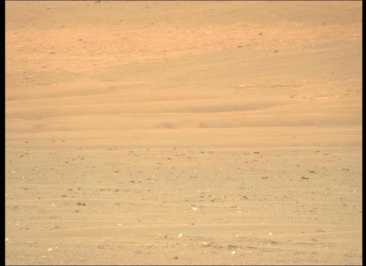 This image was taken by MCZ_LEFT onboard NASA's Mars rover Perseverance on Sol 411