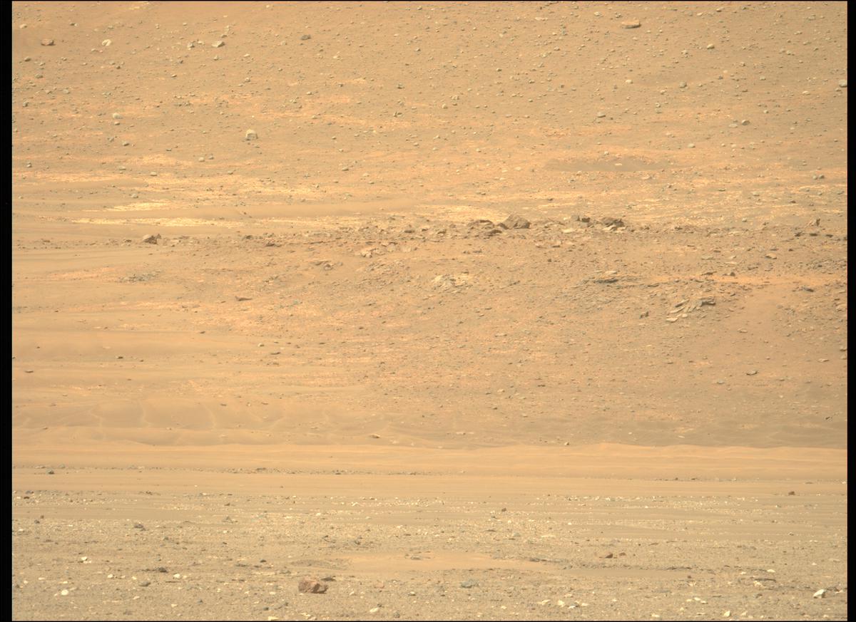 This image was taken by MCZ_LEFT onboard NASA's Mars rover Perseverance on Sol 411
