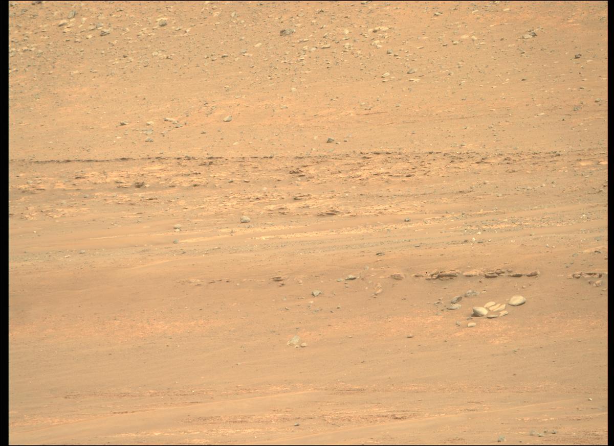 This image was taken by MCZ_RIGHT onboard NASA's Mars rover Perseverance on Sol 411