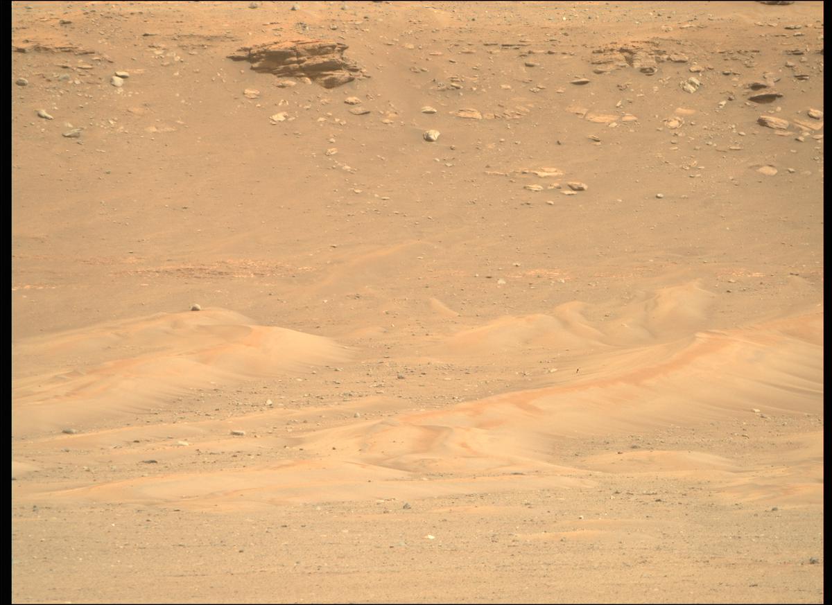 This image was taken by MCZ_RIGHT onboard NASA's Mars rover Perseverance on Sol 411