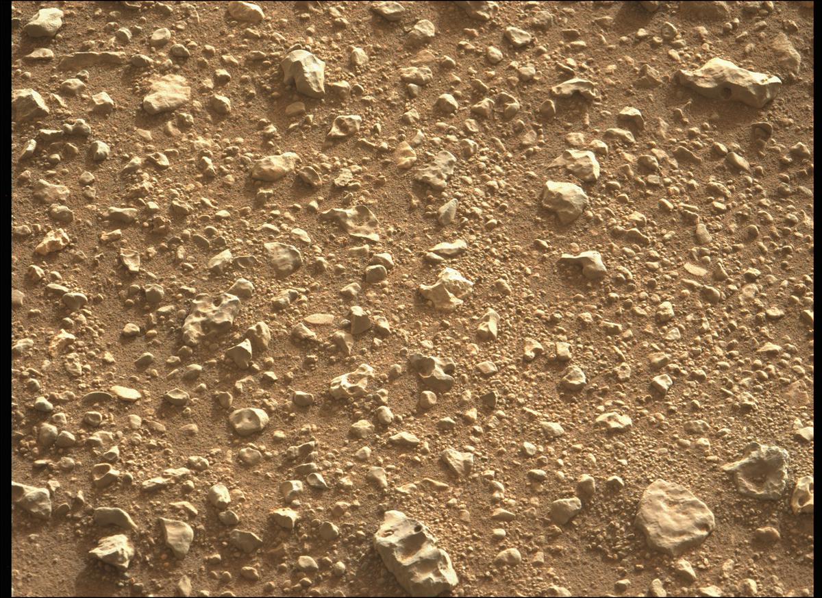 This image was taken by MCZ_LEFT onboard NASA's Mars rover Perseverance on Sol 413