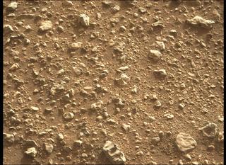View image taken on Mars, Mars Perseverance Sol 413: Left Mastcam-Z Camera