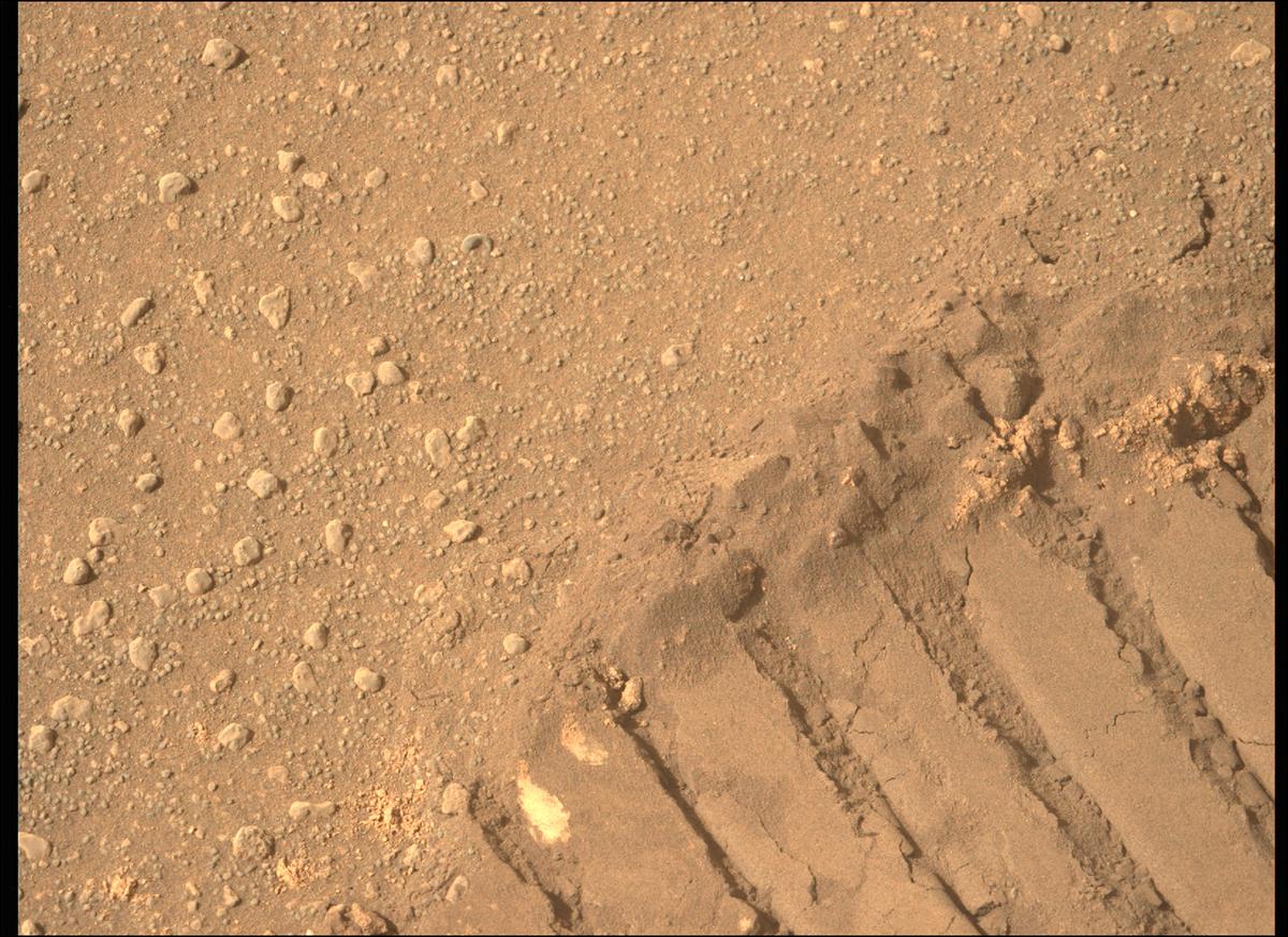 This image was taken by MCZ_LEFT onboard NASA's Mars rover Perseverance on Sol 417