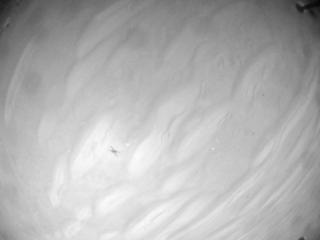 View image taken on Mars, Mars Helicopter Sol 418: Navigation Camera