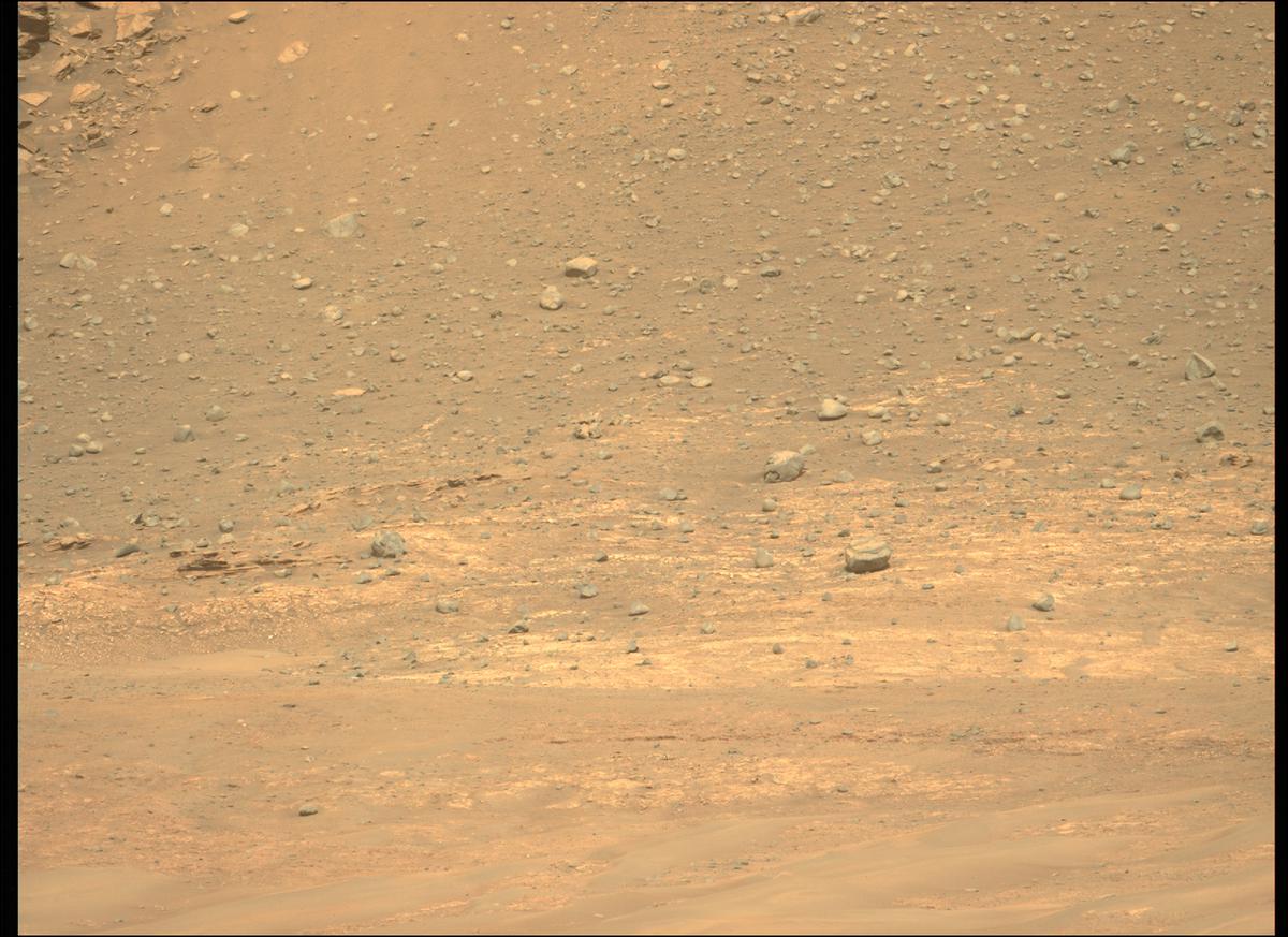 This image was taken by MCZ_LEFT onboard NASA's Mars rover Perseverance on Sol 419