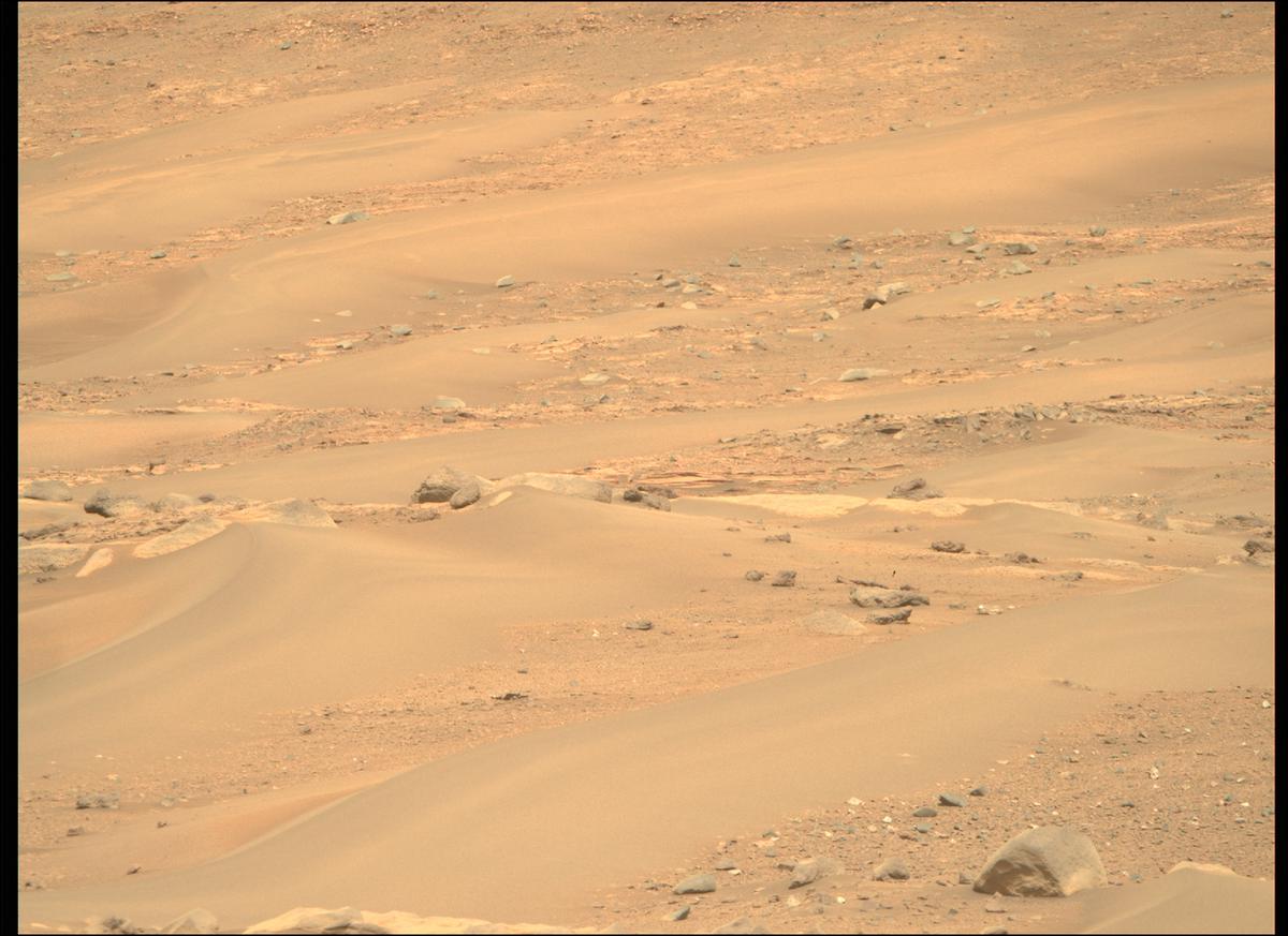 This image was taken by MCZ_RIGHT onboard NASA's Mars rover Perseverance on Sol 419