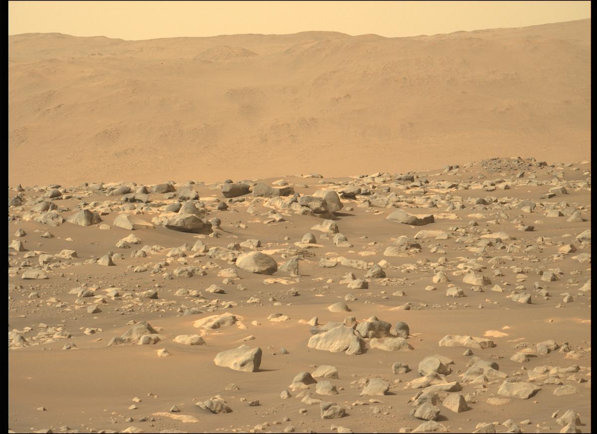 This image was taken by MCZ_LEFT onboard NASA's Mars rover Perseverance on Sol 420