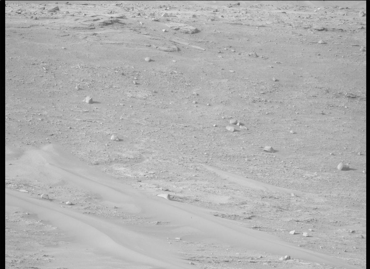 This image was taken by MCZ_LEFT onboard NASA's Mars rover Perseverance on Sol 420