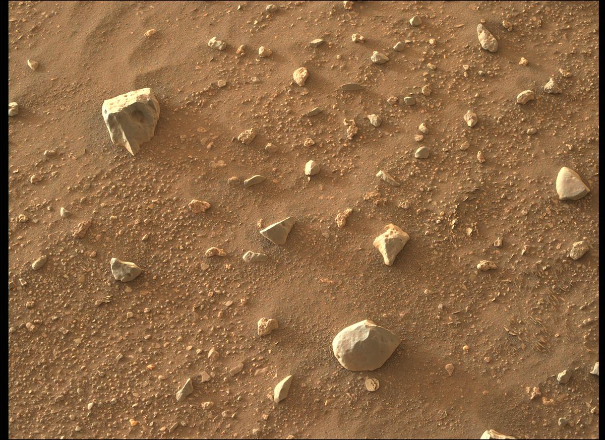 This image was taken by MCZ_RIGHT onboard NASA's Mars rover Perseverance on Sol 421