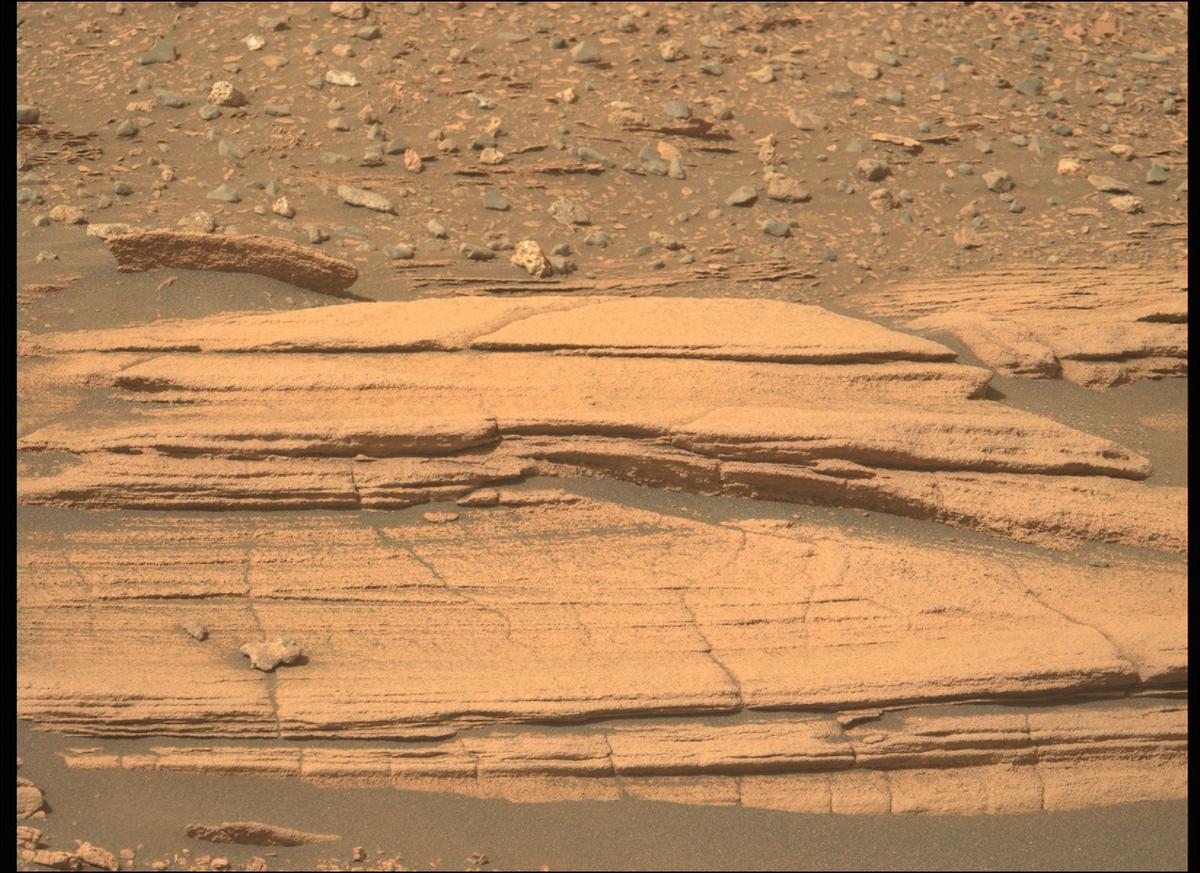 This image was taken by MCZ_LEFT onboard NASA's Mars rover Perseverance on Sol 422