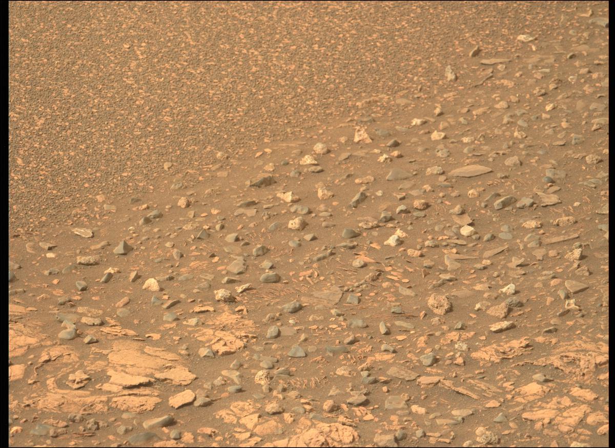 This image was taken by MCZ_LEFT onboard NASA's Mars rover Perseverance on Sol 423