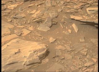View image taken on Mars, Mars Perseverance Sol 423: Left Mastcam-Z Camera