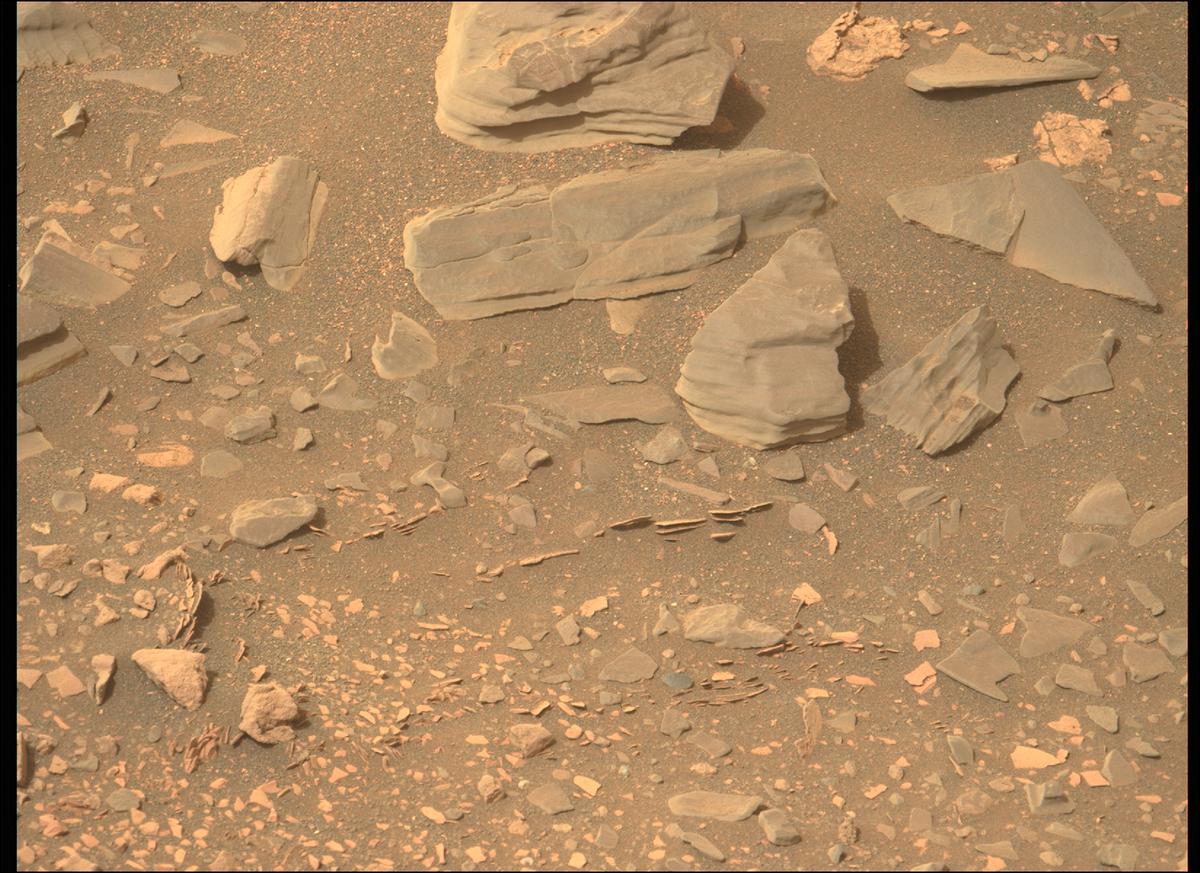 This image was taken by MCZ_LEFT onboard NASA's Mars rover Perseverance on Sol 423