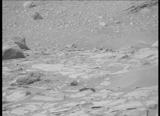 View image taken on Mars, Mars Perseverance Sol 423: Right Mastcam-Z Camera