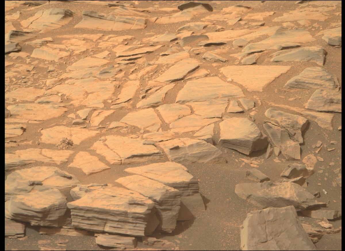 This image was taken by MCZ_RIGHT onboard NASA's Mars rover Perseverance on Sol 423