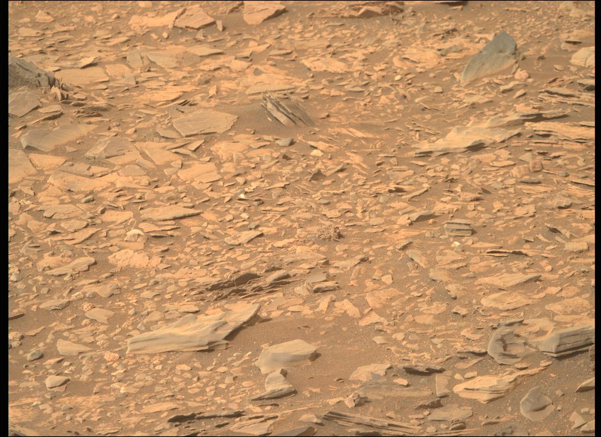 This image was taken by MCZ_RIGHT onboard NASA's Mars rover Perseverance on Sol 423