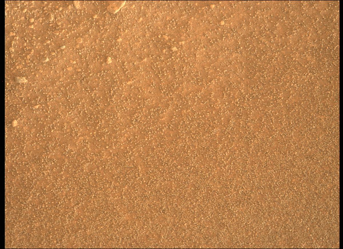 This image was taken by MCZ_LEFT onboard NASA's Mars rover Perseverance on Sol 426