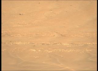 View image taken on Mars, Mars Perseverance Sol 429: Left Mastcam-Z Camera
