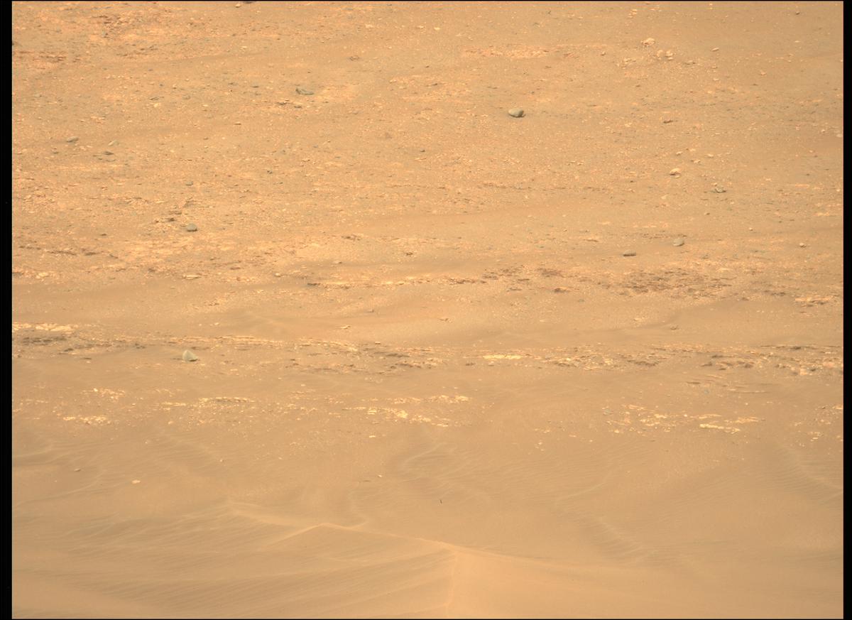 This image was taken by MCZ_LEFT onboard NASA's Mars rover Perseverance on Sol 429