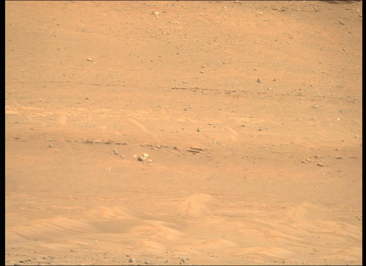 This image was taken by MCZ_RIGHT onboard NASA's Mars rover Perseverance on Sol 429