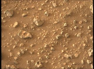 View image taken on Mars, Mars Perseverance Sol 432: Left Mastcam-Z Camera