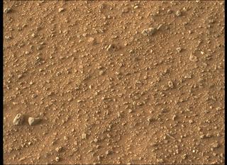 View image taken on Mars, Mars Perseverance Sol 433: Left Mastcam-Z Camera