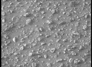 View image taken on Mars, Mars Perseverance Sol 433: Left Mastcam-Z Camera