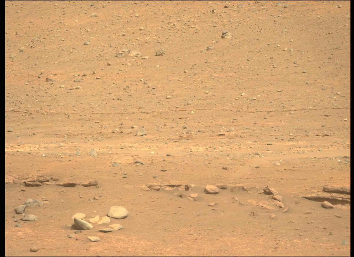 This image was taken by MCZ_LEFT onboard NASA's Mars rover Perseverance on Sol 437
