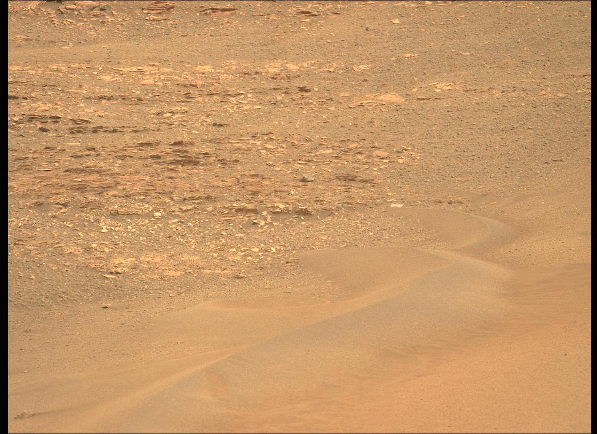 This image was taken by MCZ_LEFT onboard NASA's Mars rover Perseverance on Sol 439