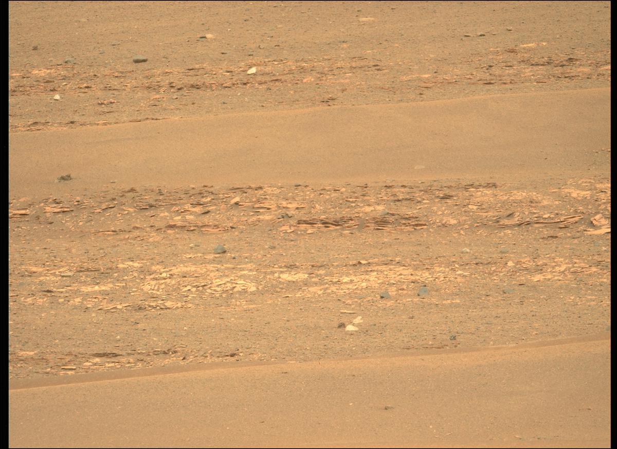 This image was taken by MCZ_LEFT onboard NASA's Mars rover Perseverance on Sol 439