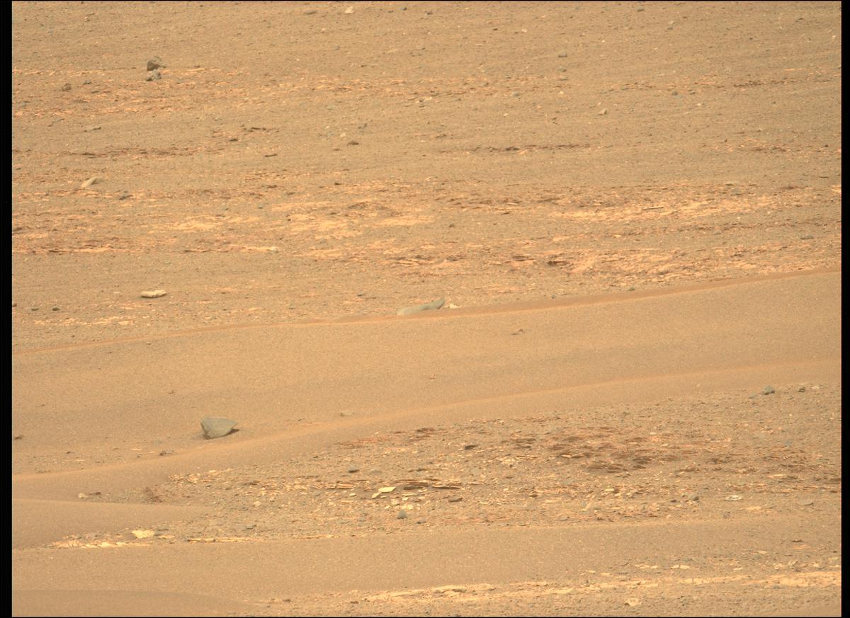 This image was taken by MCZ_LEFT onboard NASA's Mars rover Perseverance on Sol 439