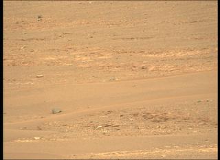 View image taken on Mars, Mars Perseverance Sol 439: Left Mastcam-Z Camera