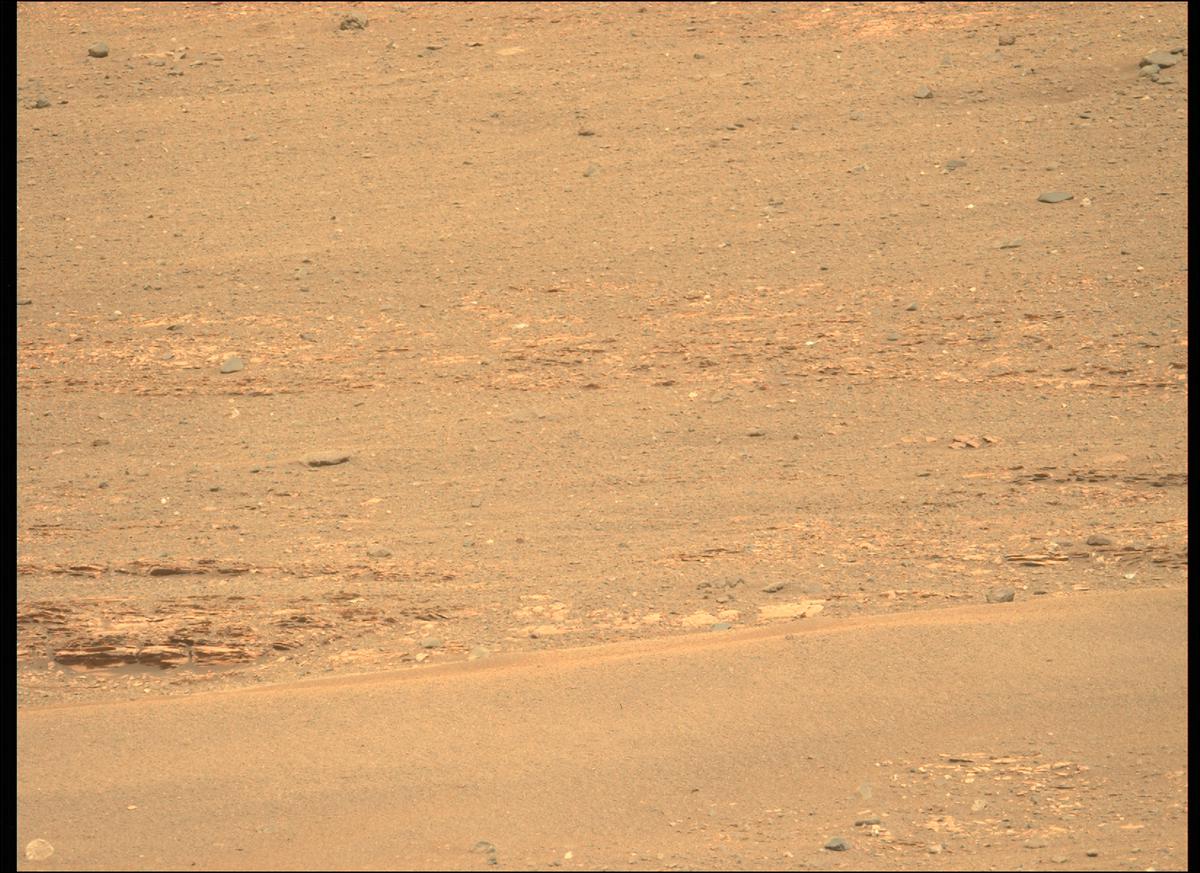 This image was taken by MCZ_LEFT onboard NASA's Mars rover Perseverance on Sol 439