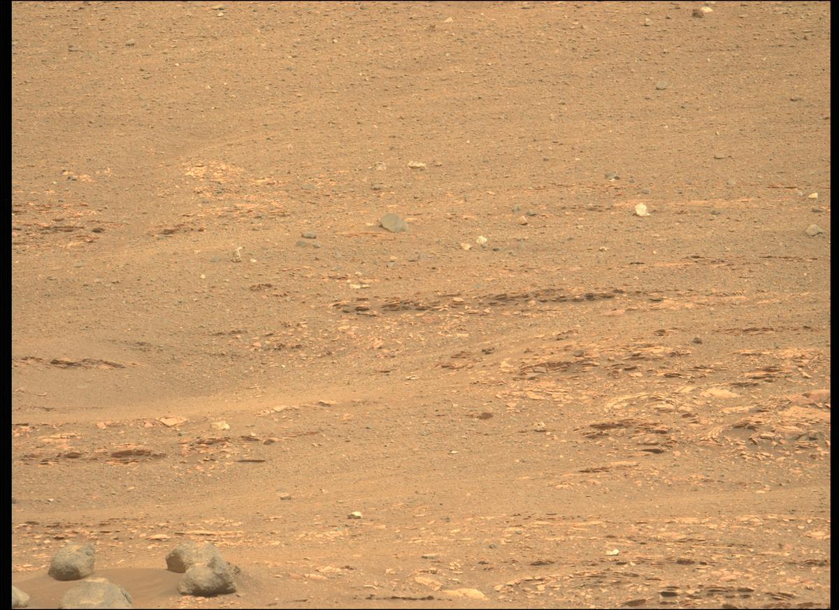 This image was taken by MCZ_LEFT onboard NASA's Mars rover Perseverance on Sol 439