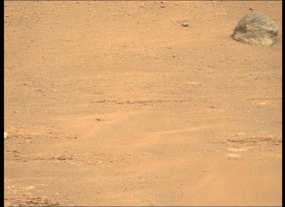 This image was taken by MCZ_LEFT onboard NASA's Mars rover Perseverance on Sol 439