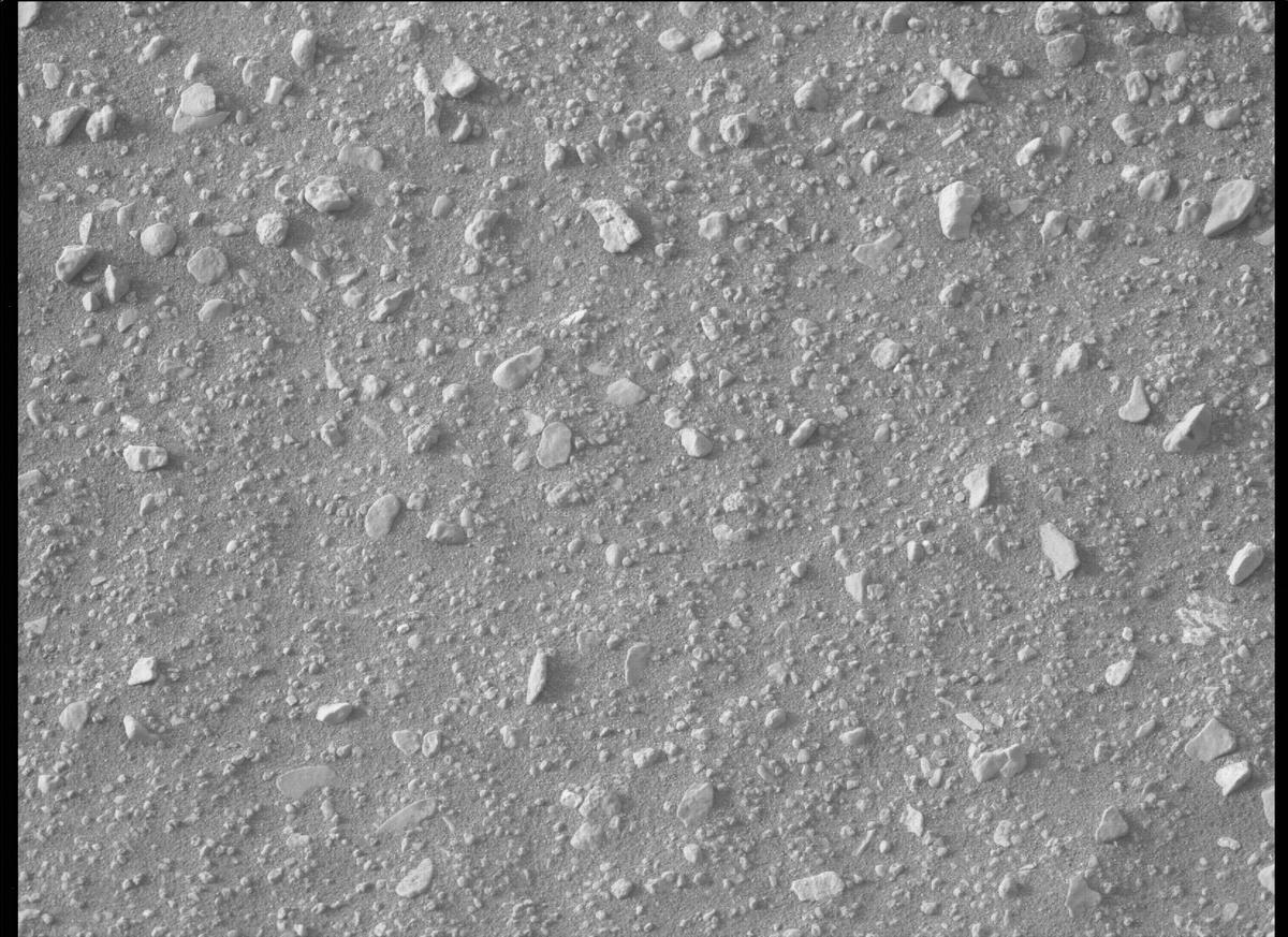 This image was taken by MCZ_LEFT onboard NASA's Mars rover Perseverance on Sol 439