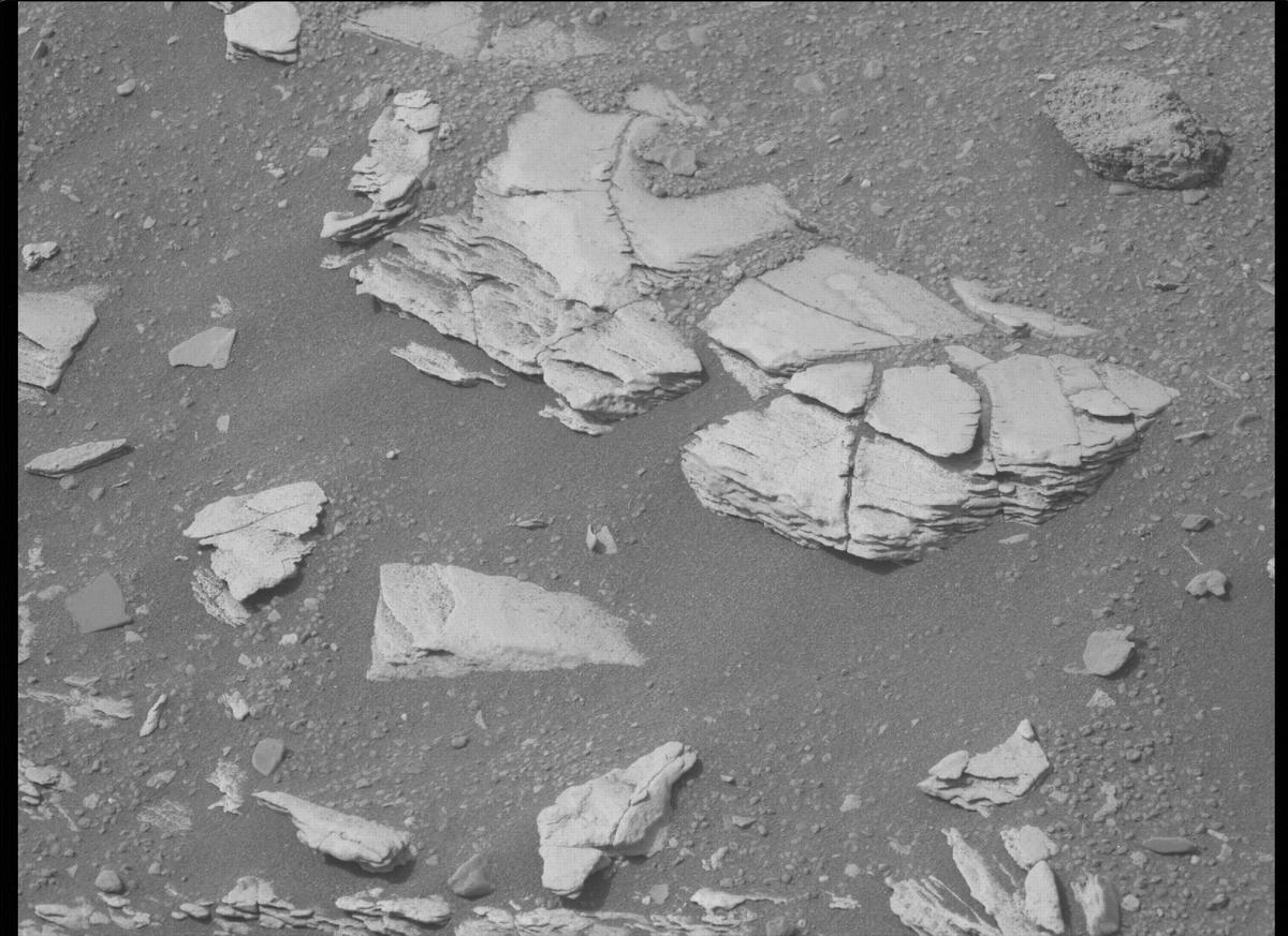 This image was taken by MCZ_LEFT onboard NASA's Mars rover Perseverance on Sol 441