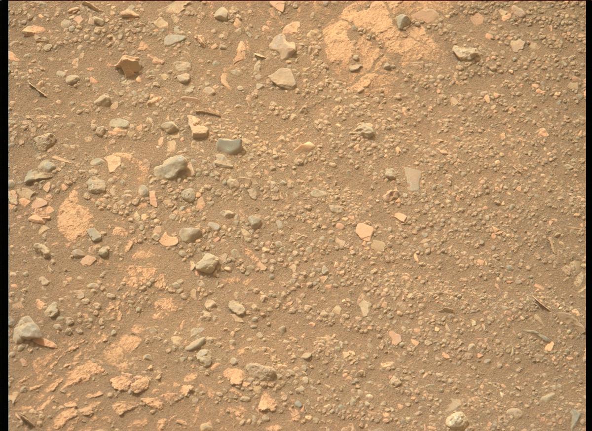This image was taken by MCZ_LEFT onboard NASA's Mars rover Perseverance on Sol 442