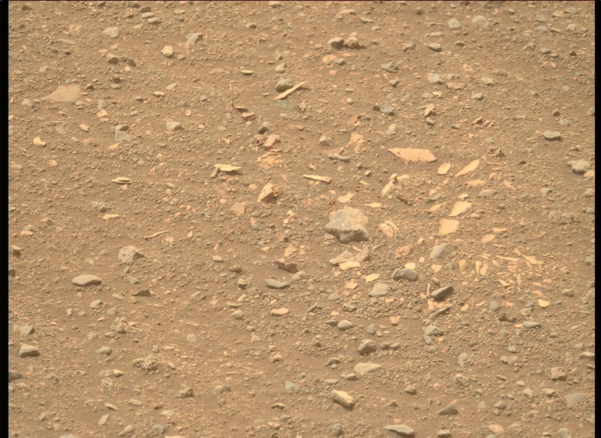 This image was taken by MCZ_LEFT onboard NASA's Mars rover Perseverance on Sol 442