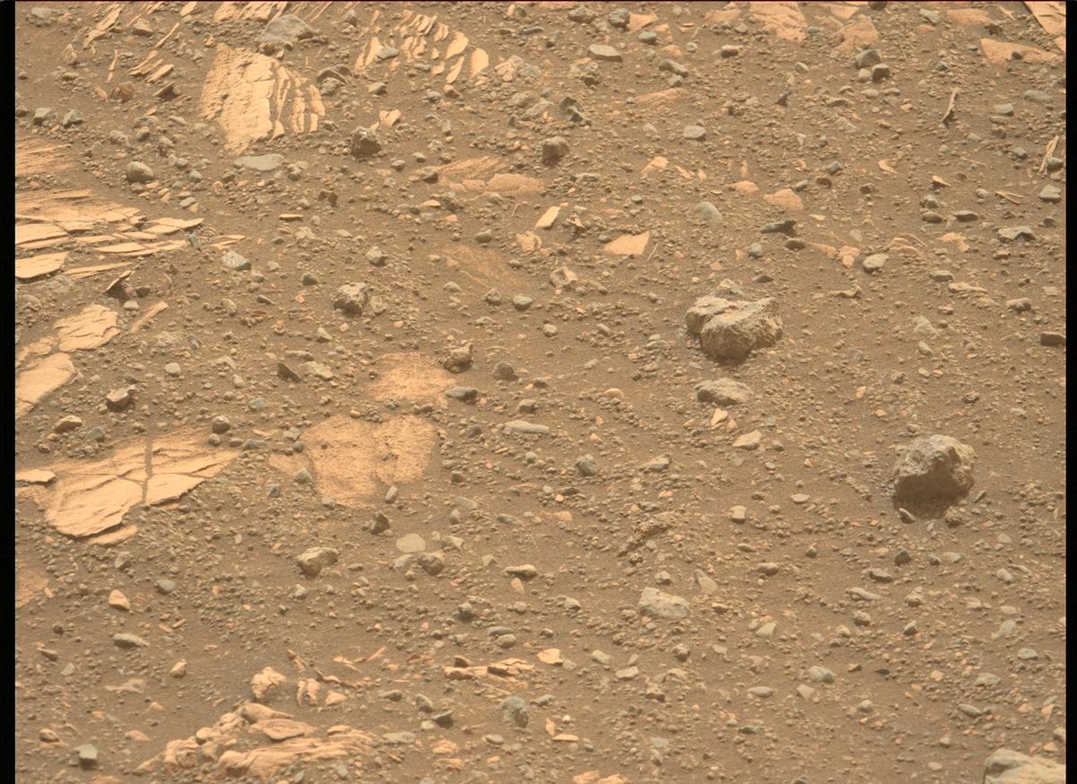 This image was taken by MCZ_LEFT onboard NASA's Mars rover Perseverance on Sol 442