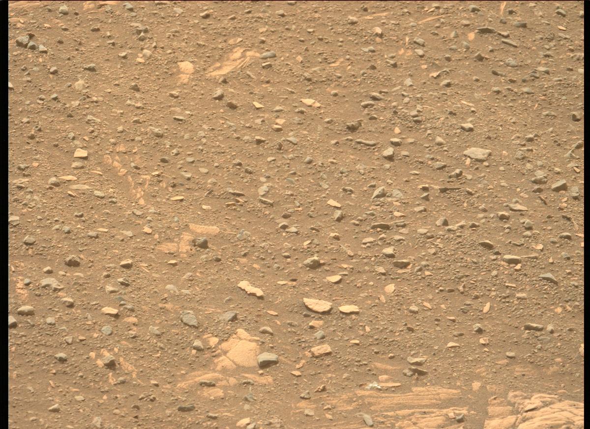This image was taken by MCZ_LEFT onboard NASA's Mars rover Perseverance on Sol 442