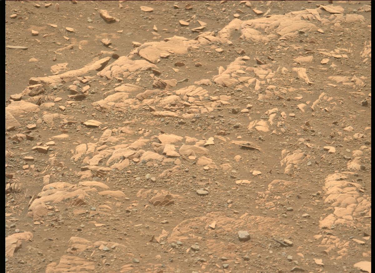 This image was taken by MCZ_LEFT onboard NASA's Mars rover Perseverance on Sol 442