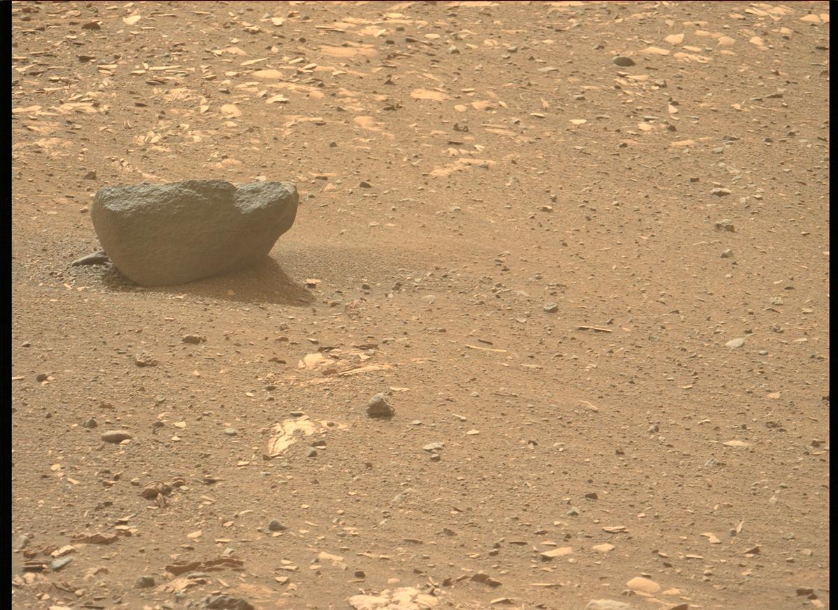 This image was taken by MCZ_LEFT onboard NASA's Mars rover Perseverance on Sol 442
